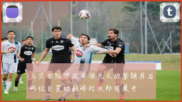 戈贝尔防守效率领先文班紧随其后两位巨星的巅峰对决即将展开